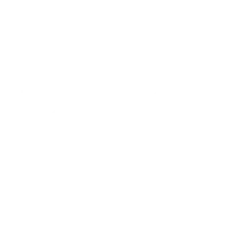 boss